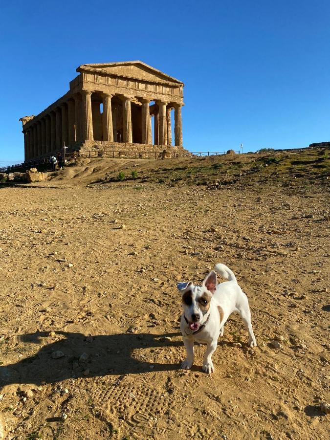 Akragaroom Agrigento Luaran gambar